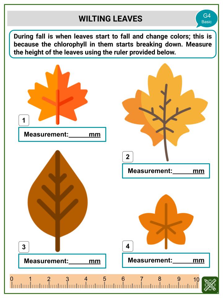 Measurement (Autumnal Equinox Themed) Worksheets